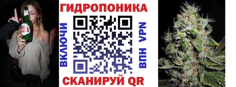 Каннабис SATIVA & INDICA купить наркоту Соль-Илецк